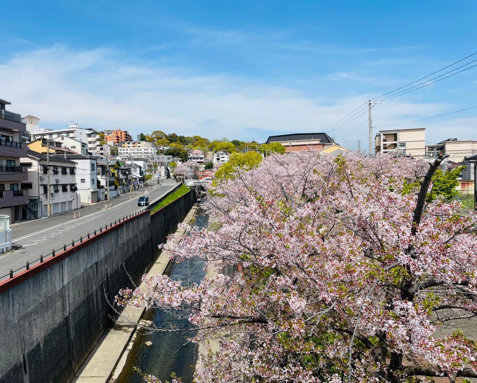 Kobe Coffee Hostel Екстериор снимка