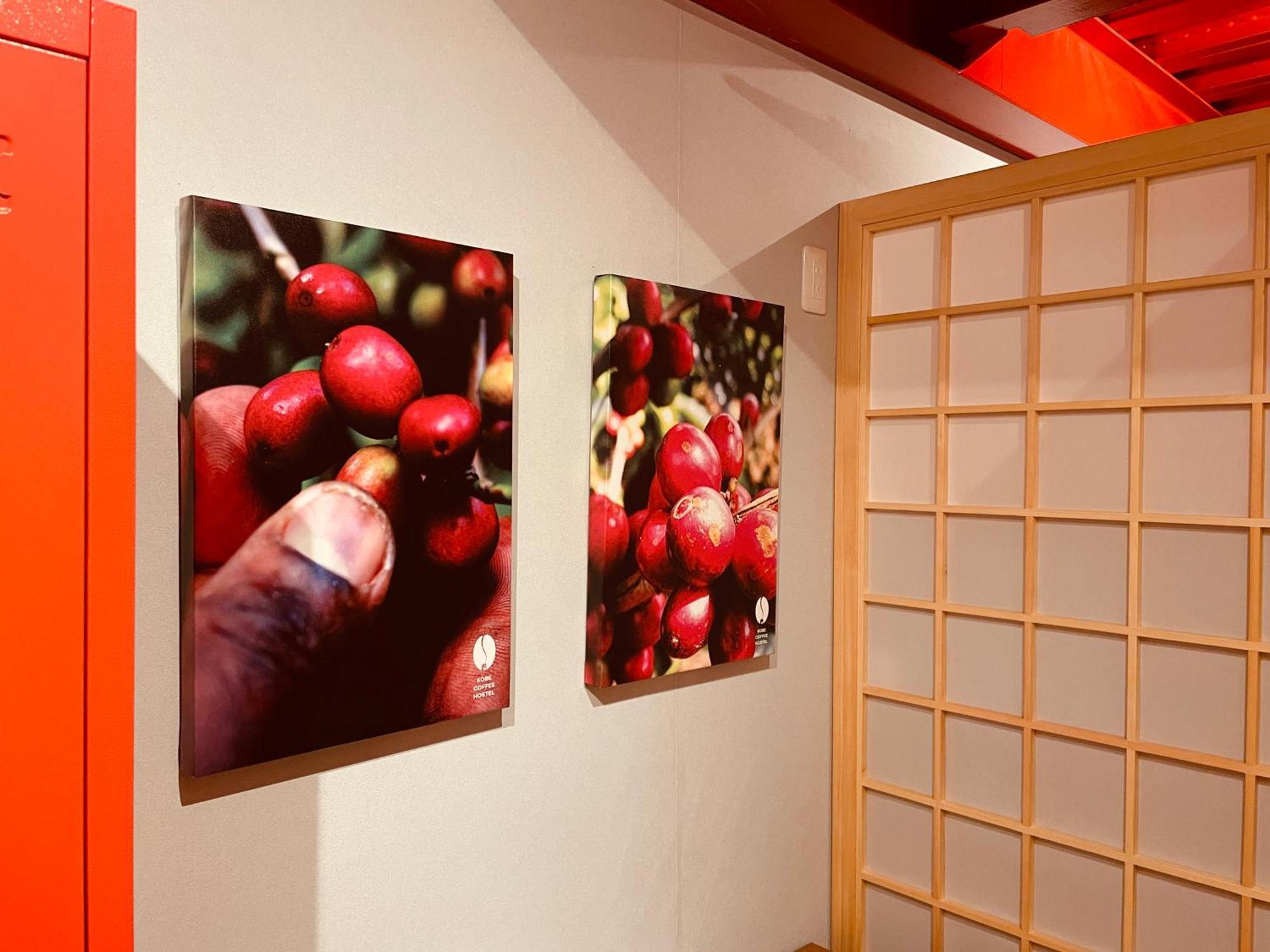 Kobe Coffee Hostel Екстериор снимка